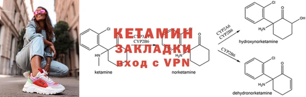 индика Беломорск